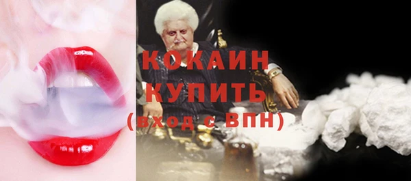 индика Баксан