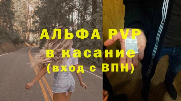 индика Баксан