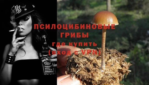 мет Козловка