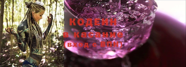 индика Баксан