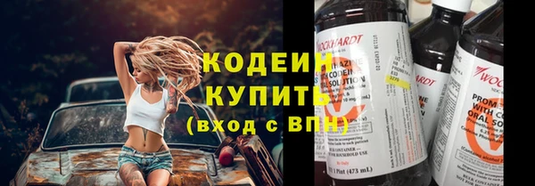 индика Баксан