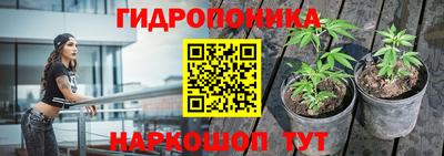 прущие грибы Балашиха