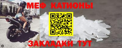 прущие грибы Балашиха