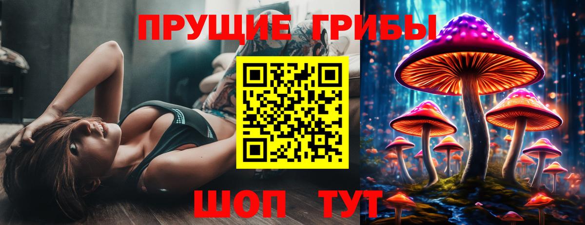 как найти закладки  Верхний Уфалей  Галлюциногенные грибы GOLDEN TEACHER  Галлюциногенные грибы GOLDEN TEACHER 