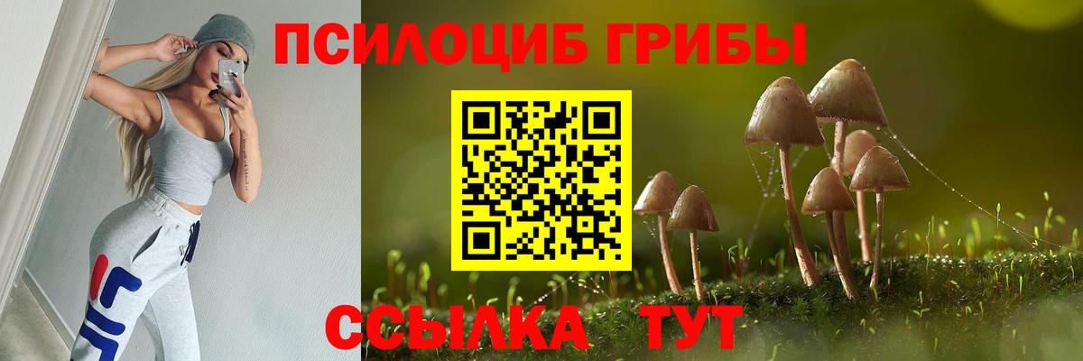 Верхний Уфалей  наркота  Вход с VPN  Галлюциногенные грибы Magic Shrooms 