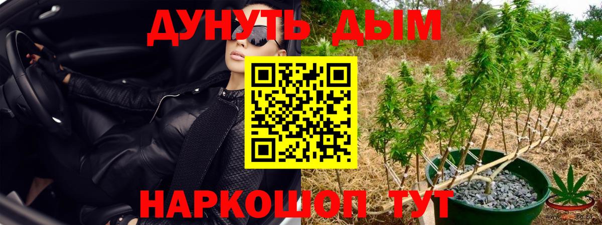 Канабис конопля  Верхний Уфалей  Конопля семена  Шишки марихуана AK-47 