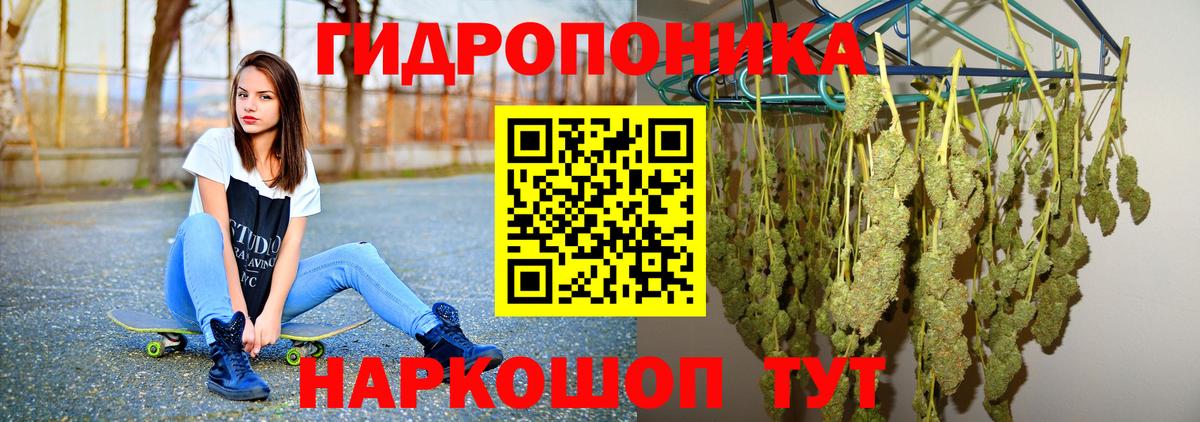 Верхний Уфалей  Канабис ГИДРОПОН  Вход с VPN  Конопля тримм  Конопля семена 